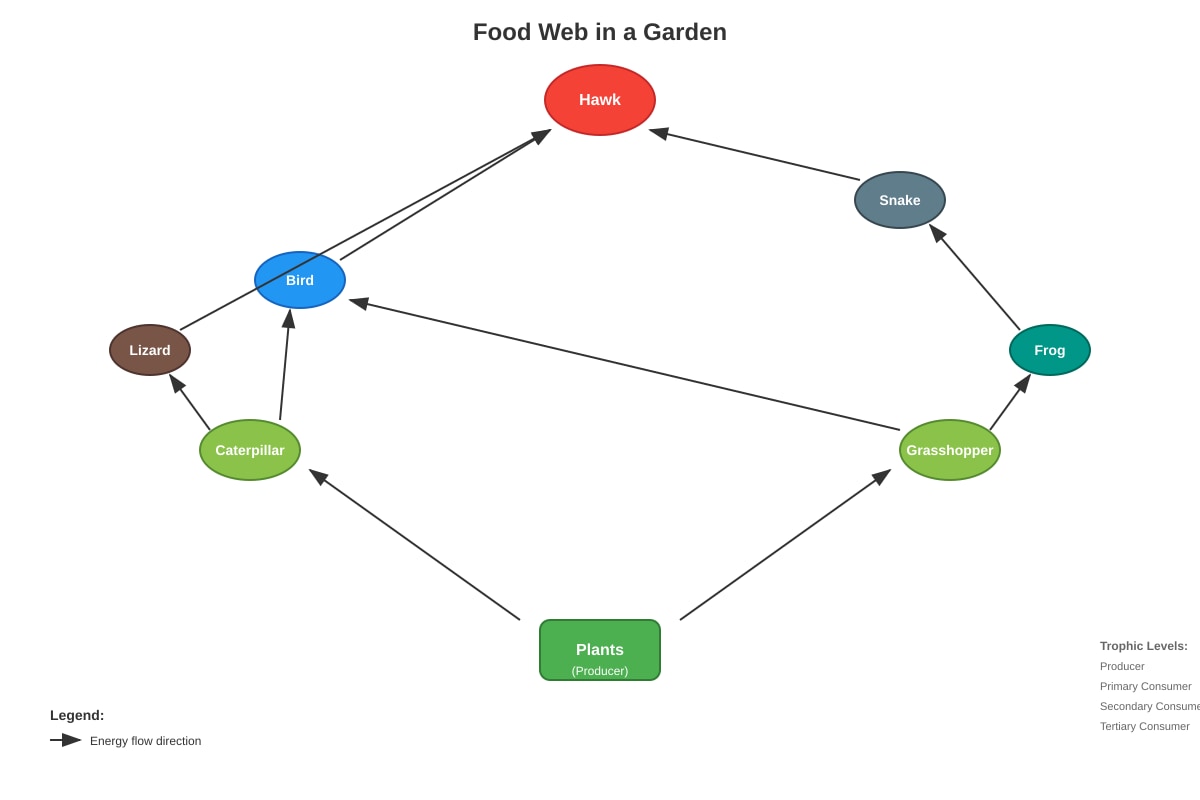 Diagram for Q6 (P6 Science)