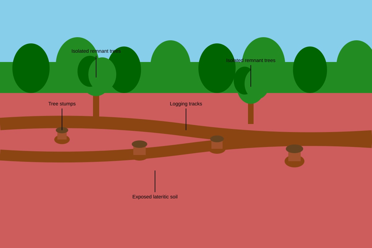 Source Image for Q16 (SEC1 Geography)