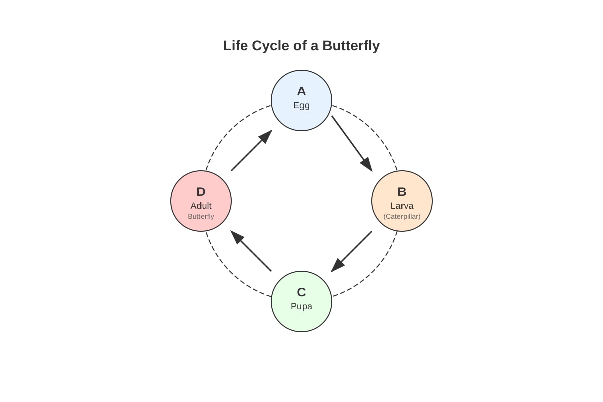 Diagram for Q3 (P6 Science)