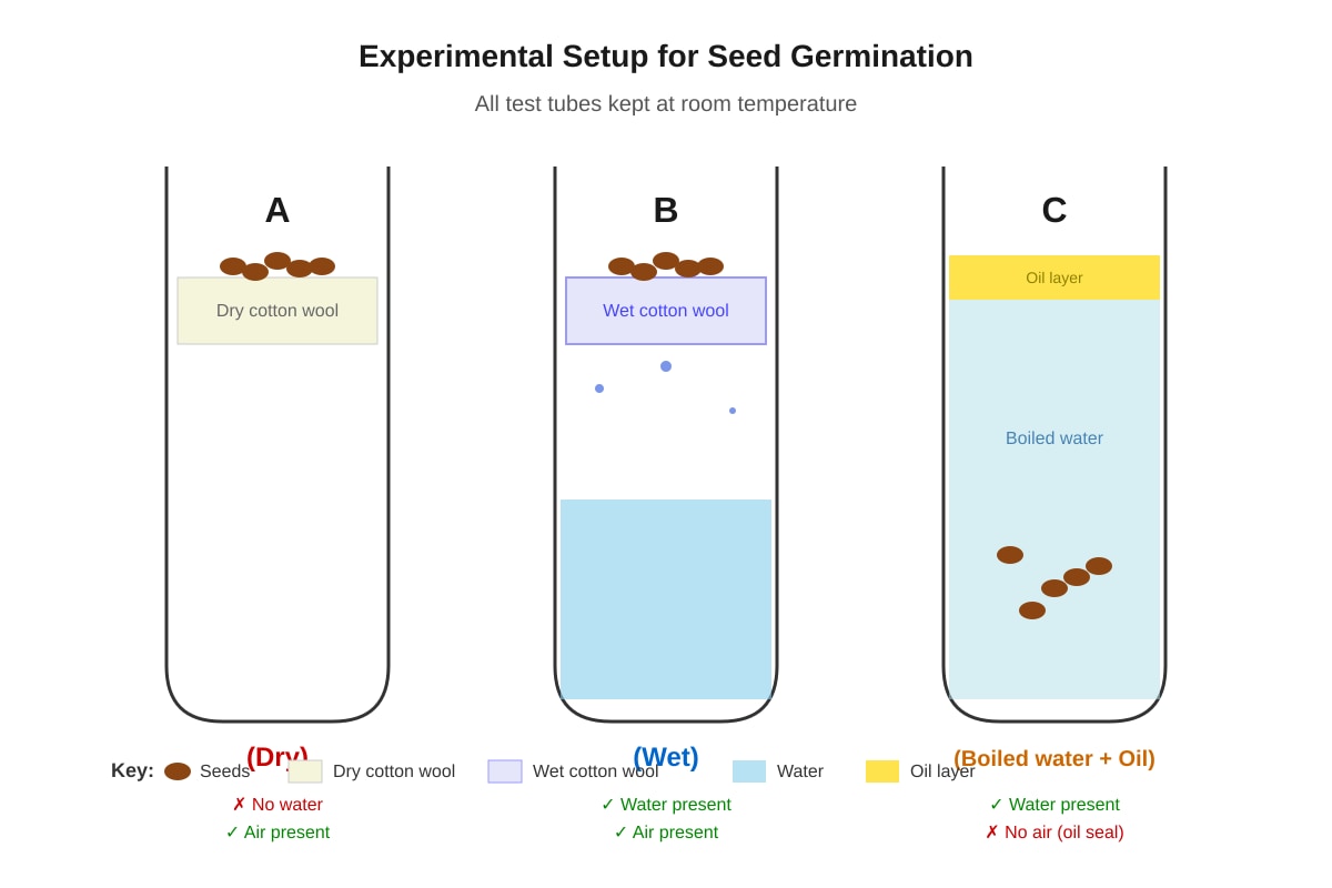 Diagram for Q12 (P5 Science)