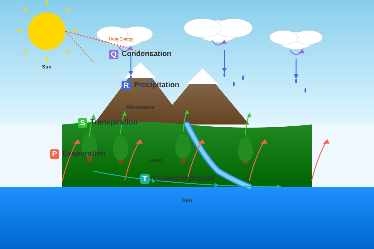 Diagram for Q8 (P6 Science)
