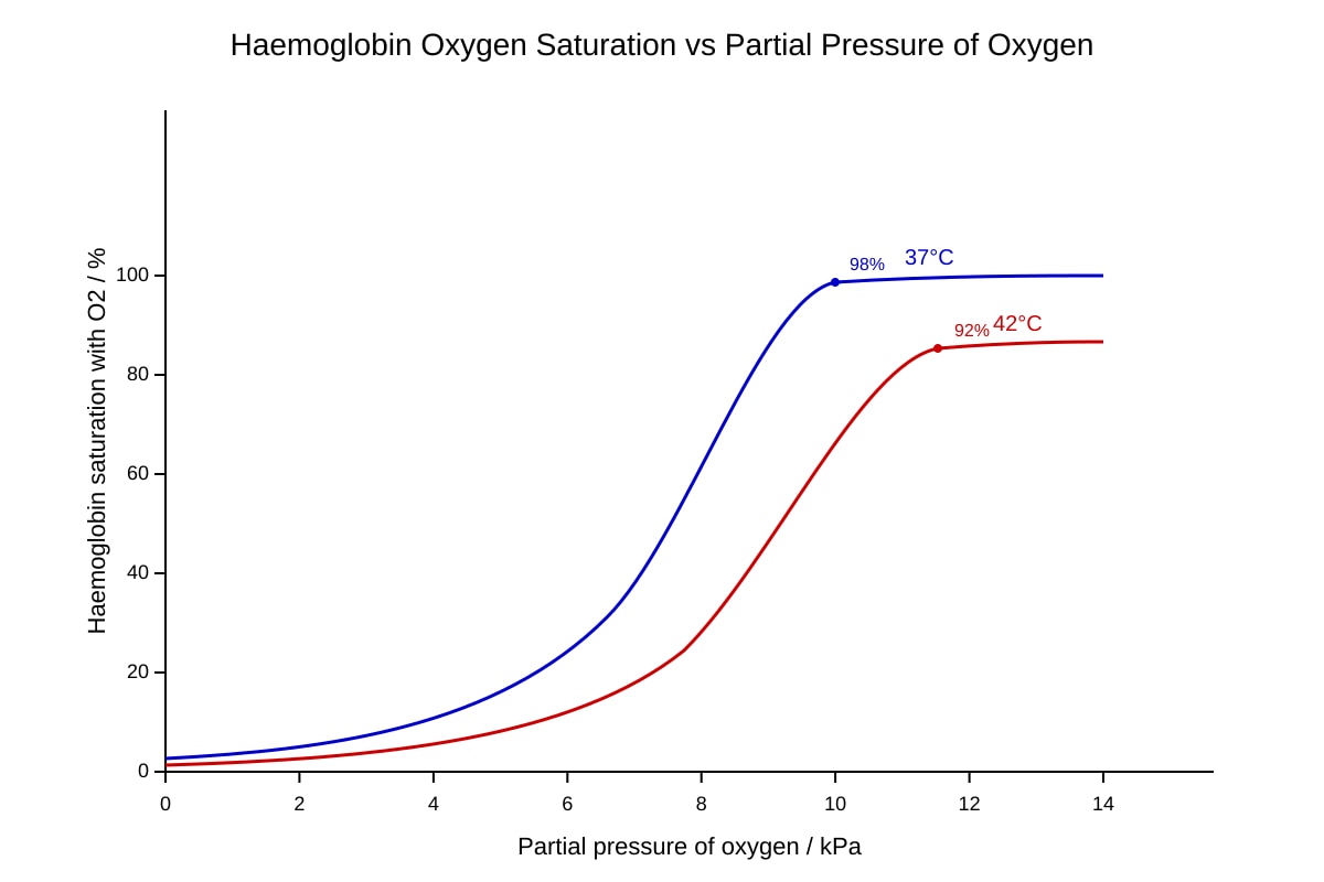 Graph for Q11 (ALEVEL Biology H1)