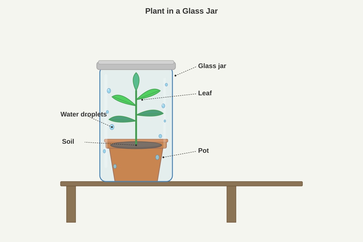 Diagram for Q20 (P3 Science)