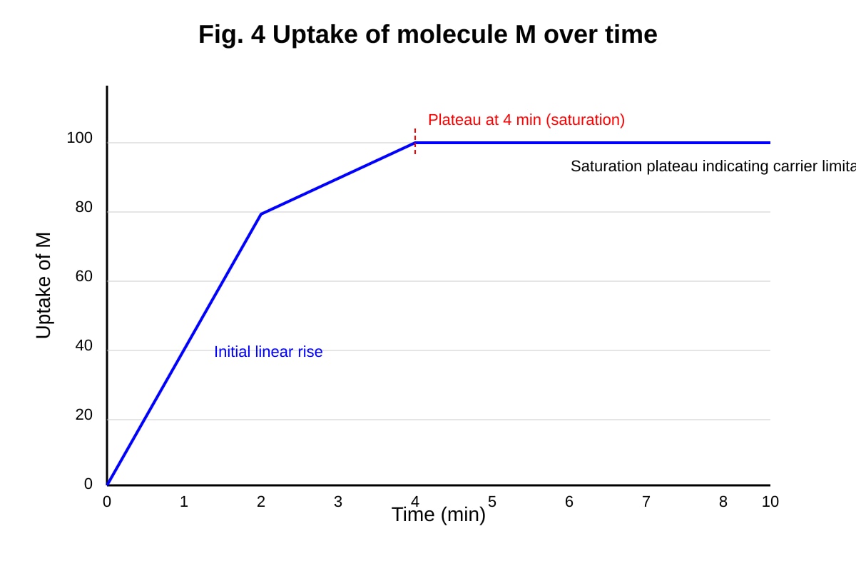 Graph for 11 (ALEVEL Biology H1)