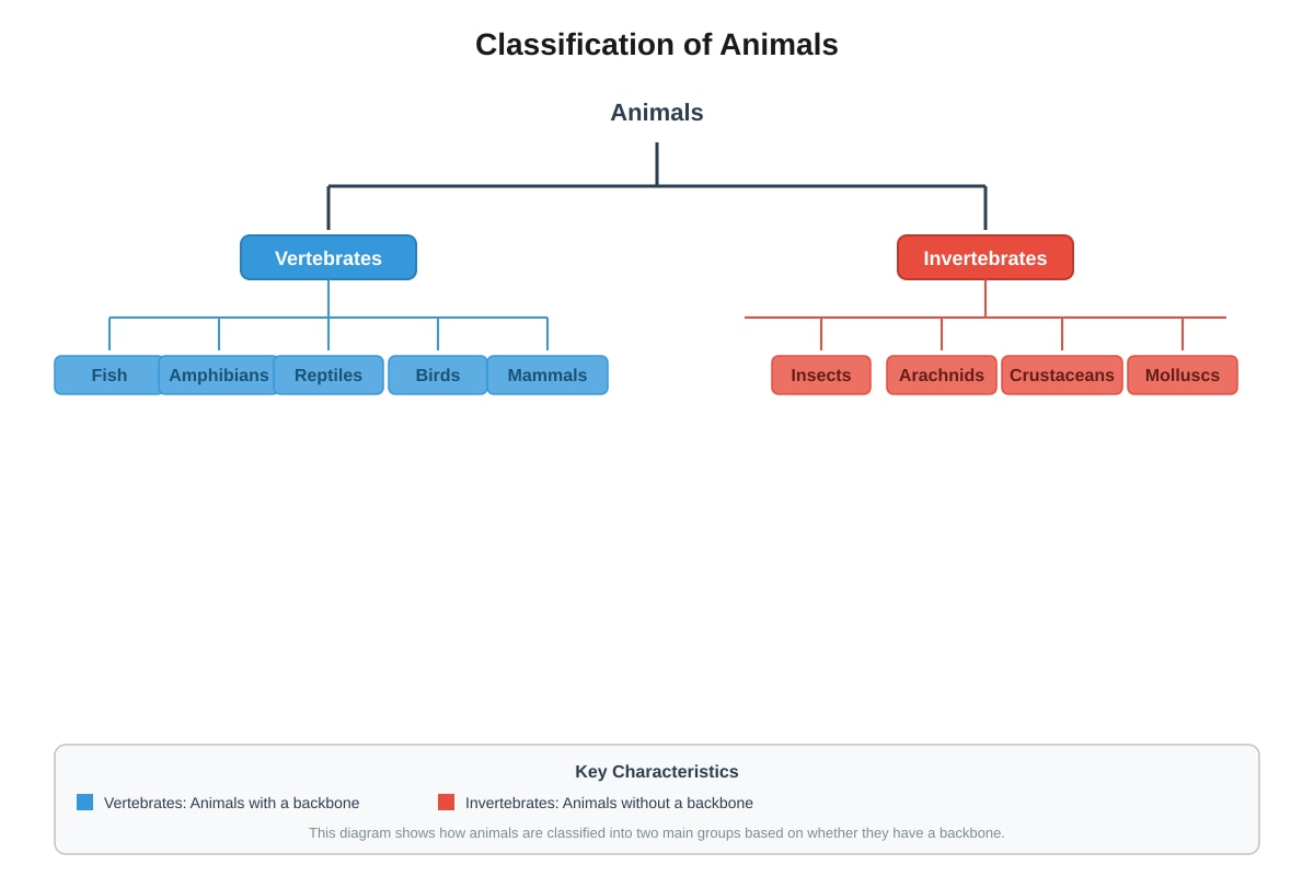 Diagram for Q2 (P5 Science)