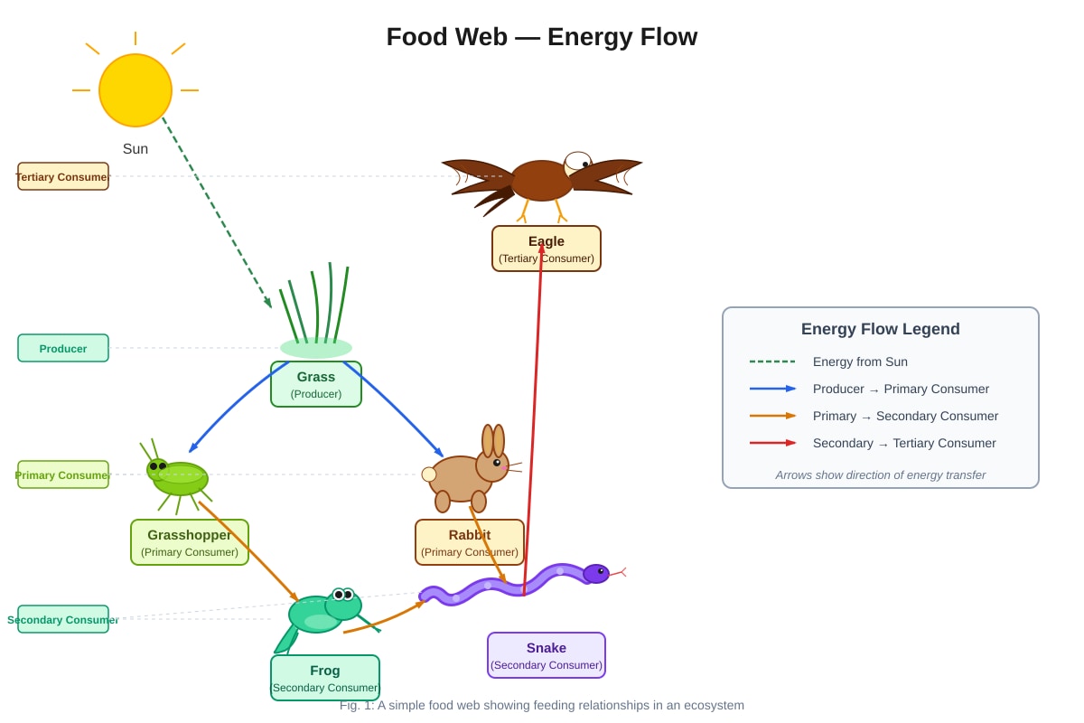 Diagram for Q3 (P6 Science)