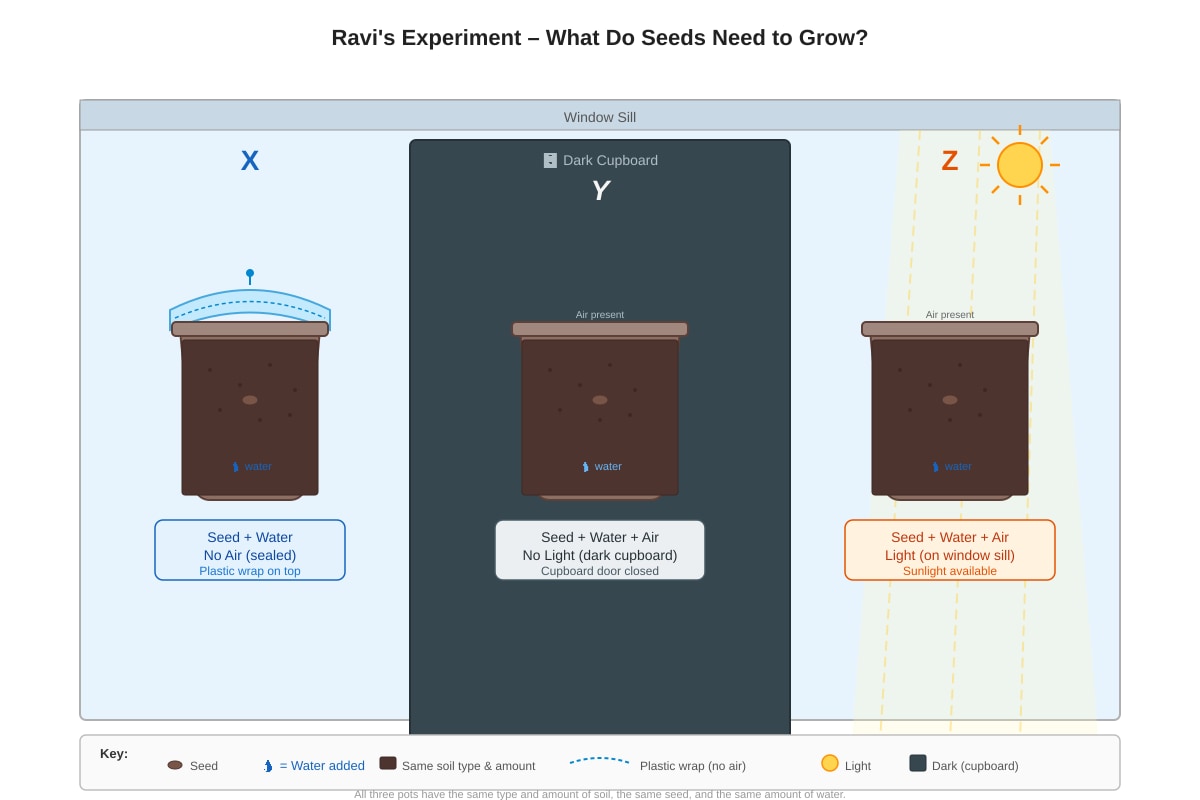 Experimental Setup for Q14 (P4 Science)