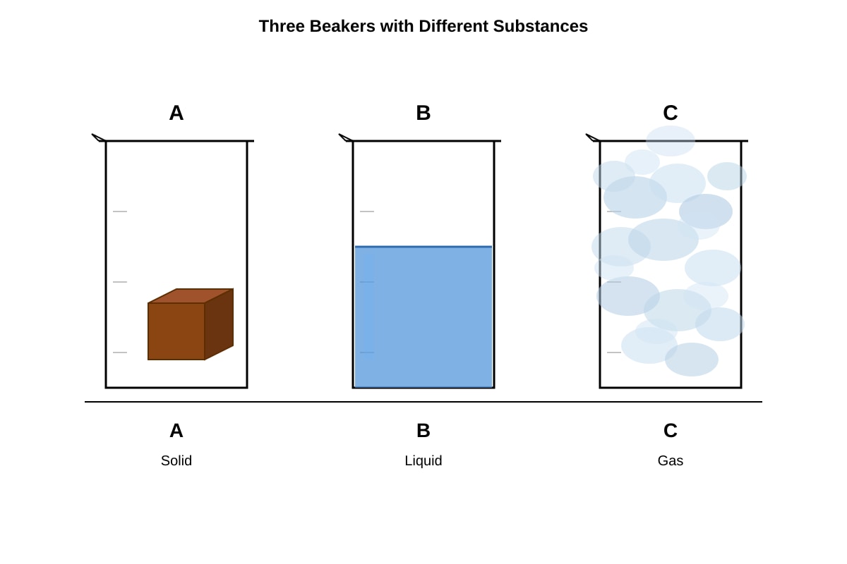 Diagram for Q16 (P4 Science)