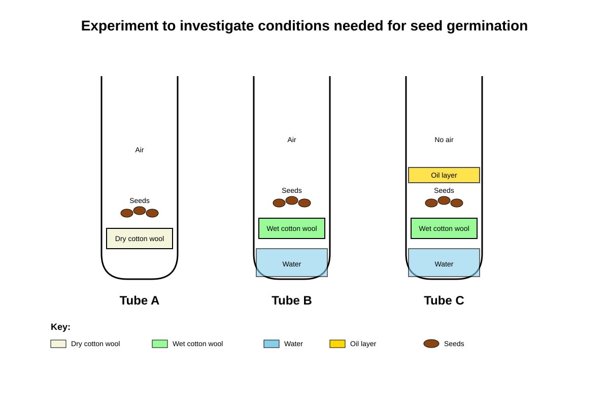 Experimental Setup for Q17 (P6 Science)