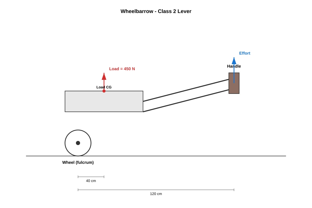 Diagram for Q11 (SEC1 Science)