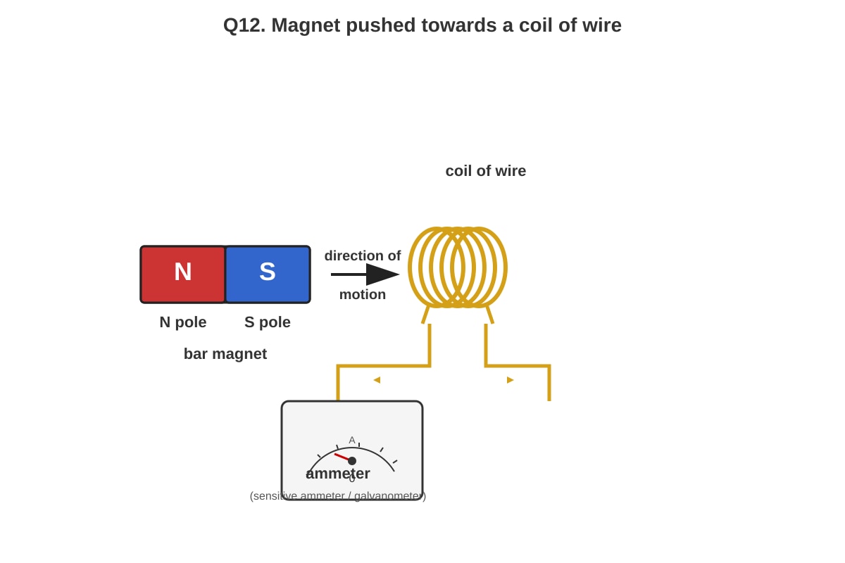 Diagram for Q12 (P4 Science)