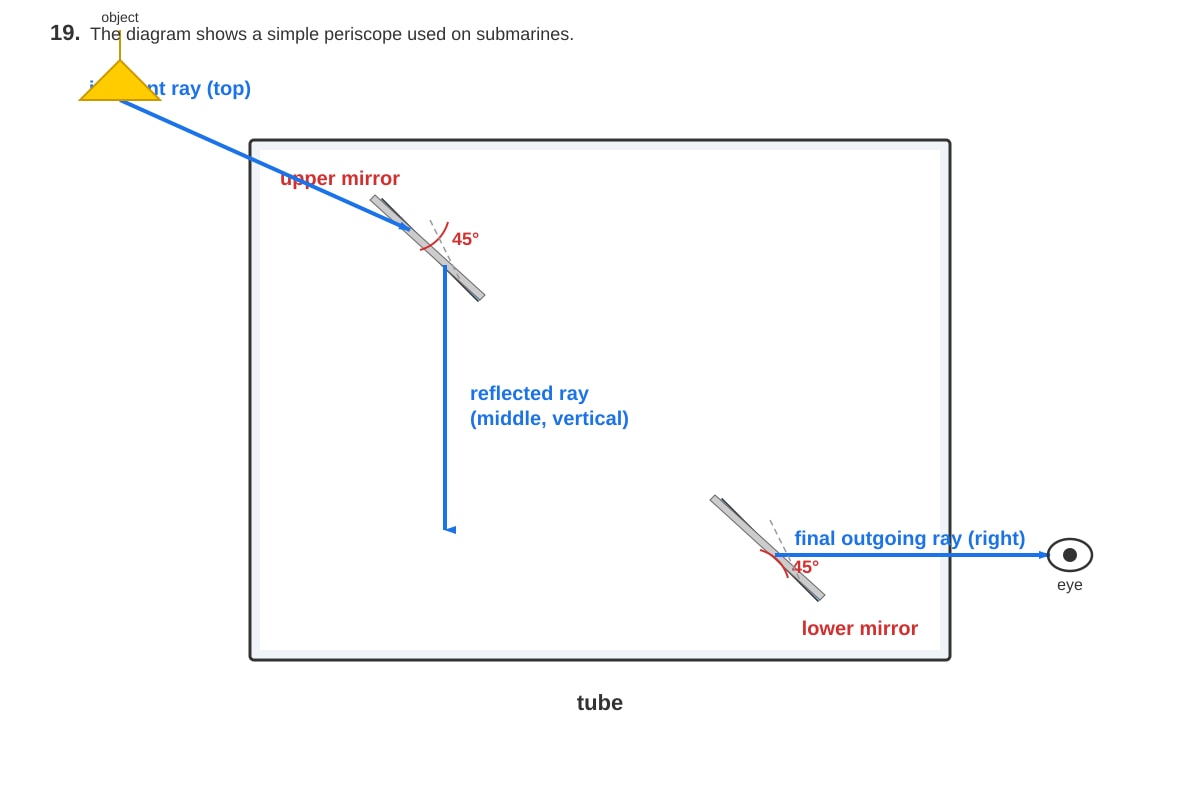 Diagram for Q19 (P5 Science)