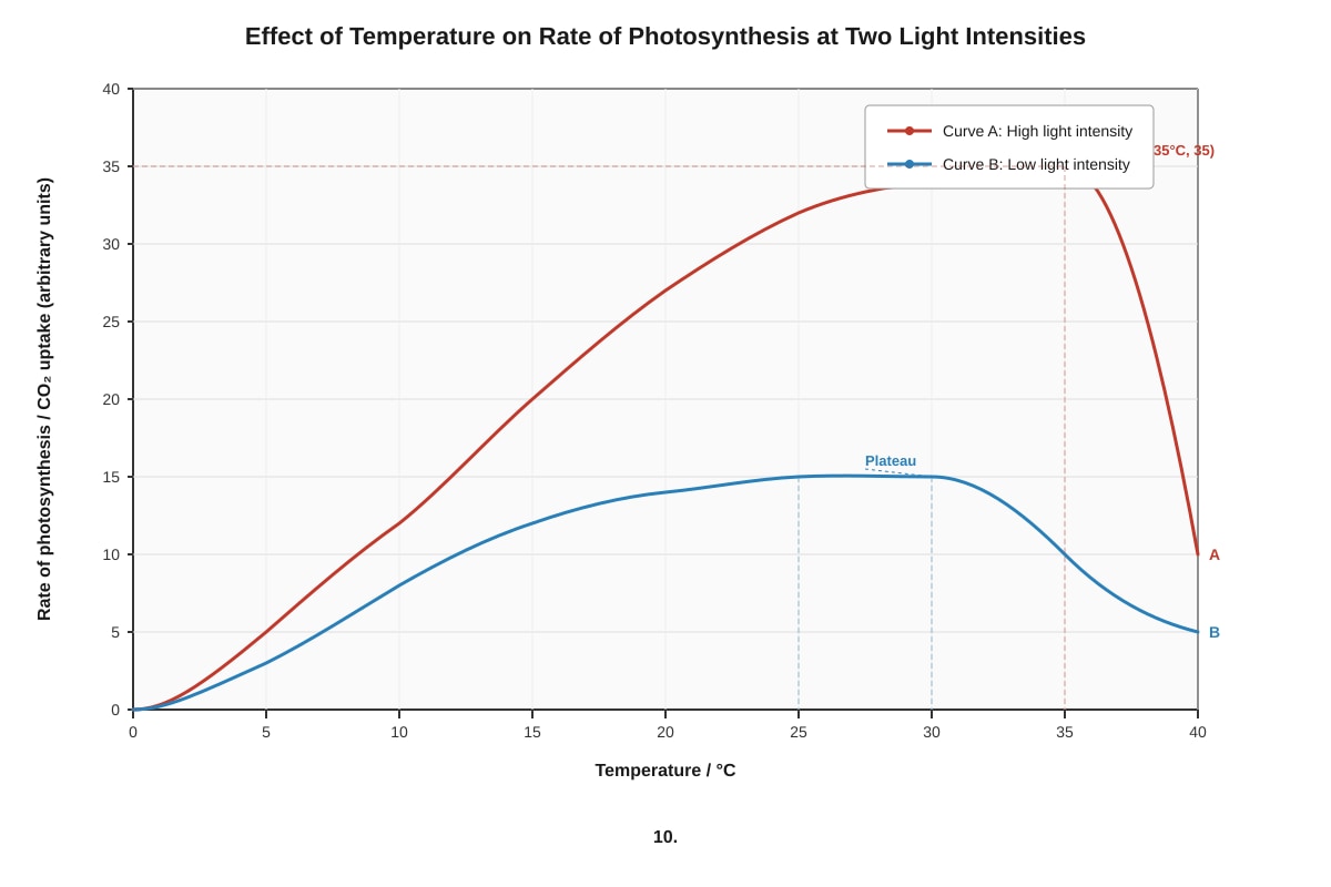 Graph for Q10 (SEC3 Biology)