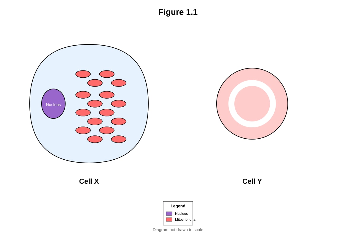 Diagram for placeholder 1 (SEC4 Combined Sci Bio)
