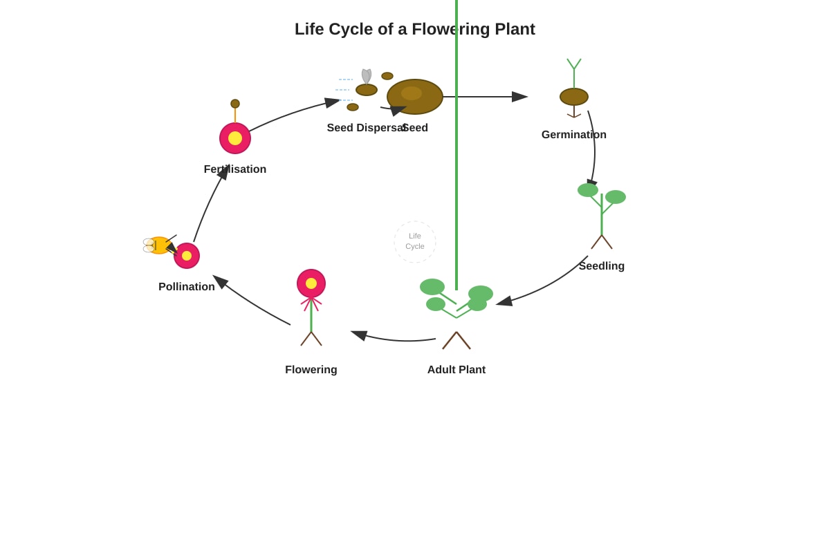 Diagram for Q5 (P5 Science)