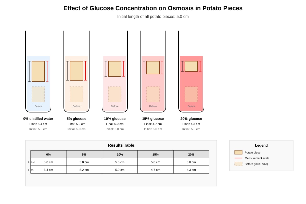 Experimental Setup for Q18 (P6 Science)
