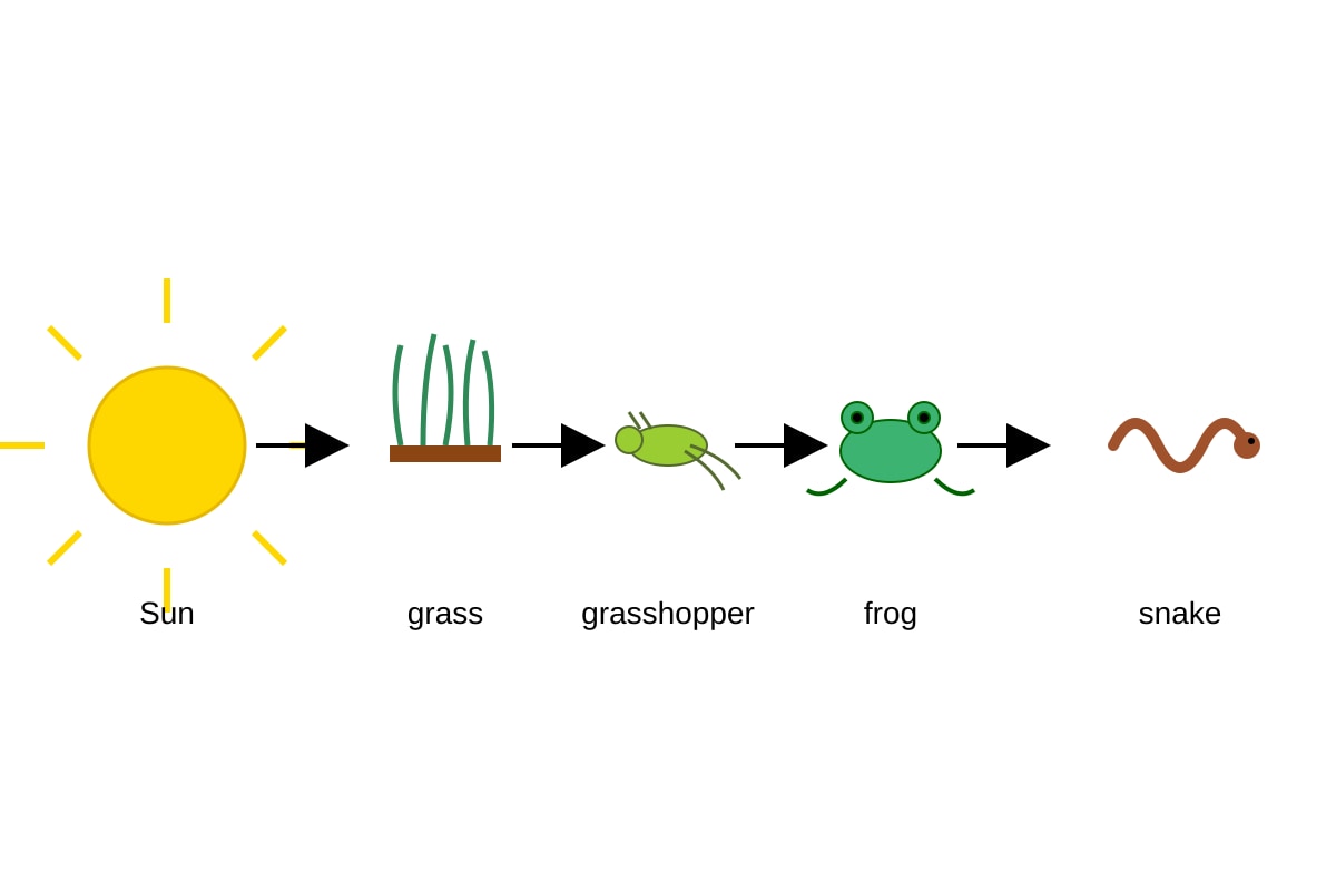 Diagram for 17 (P6 Science)