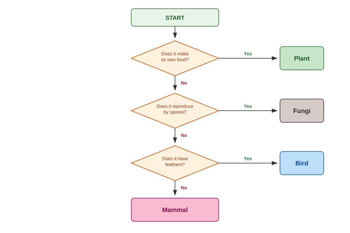 Diagram for Q6 (P4 Science)