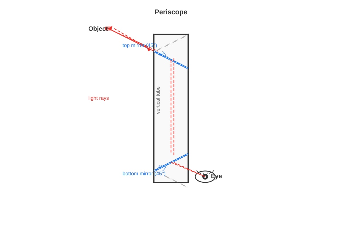 Diagram for Q22 (SEC1 Science)