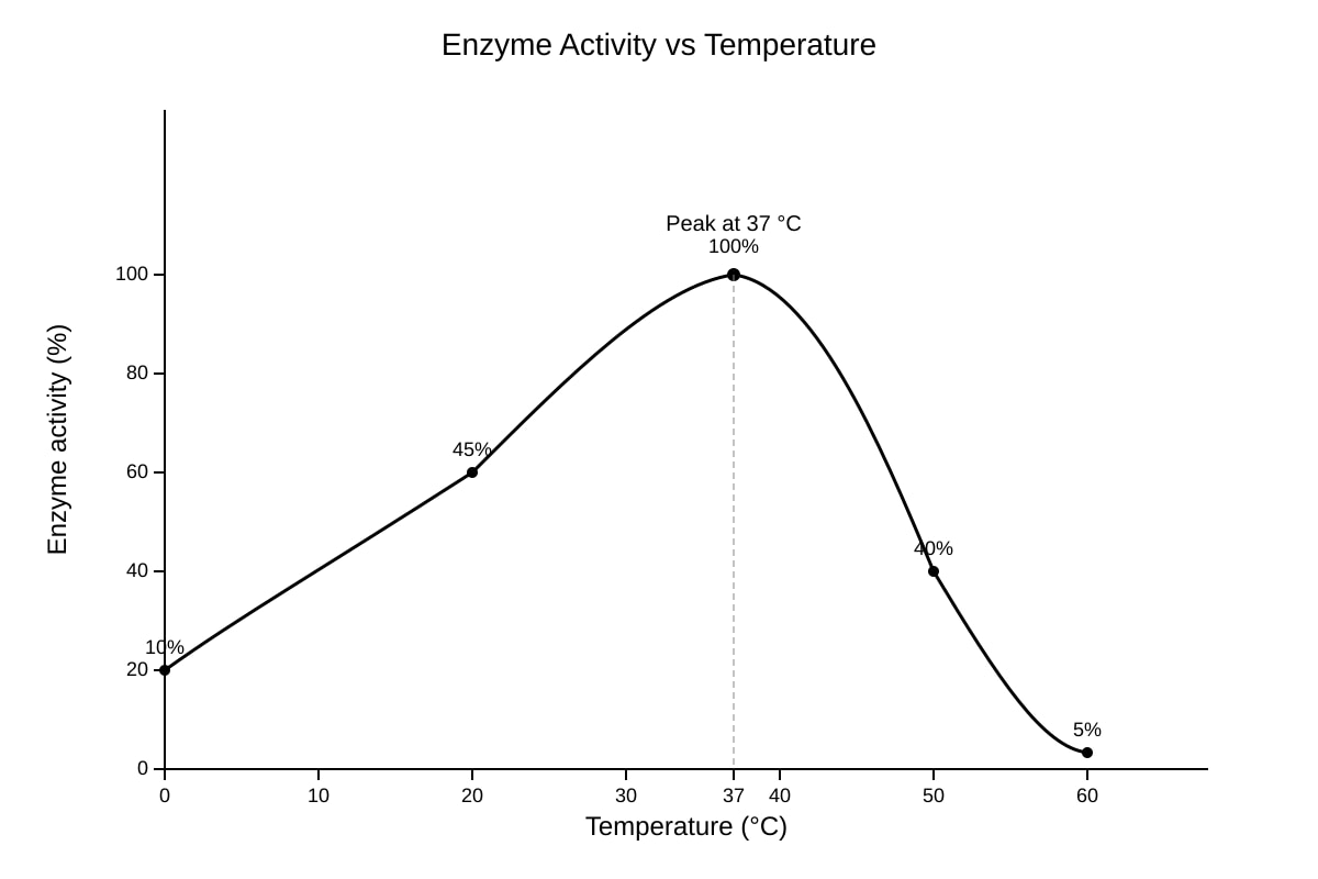 Graph for Q18 (SEC3 Combined Science)