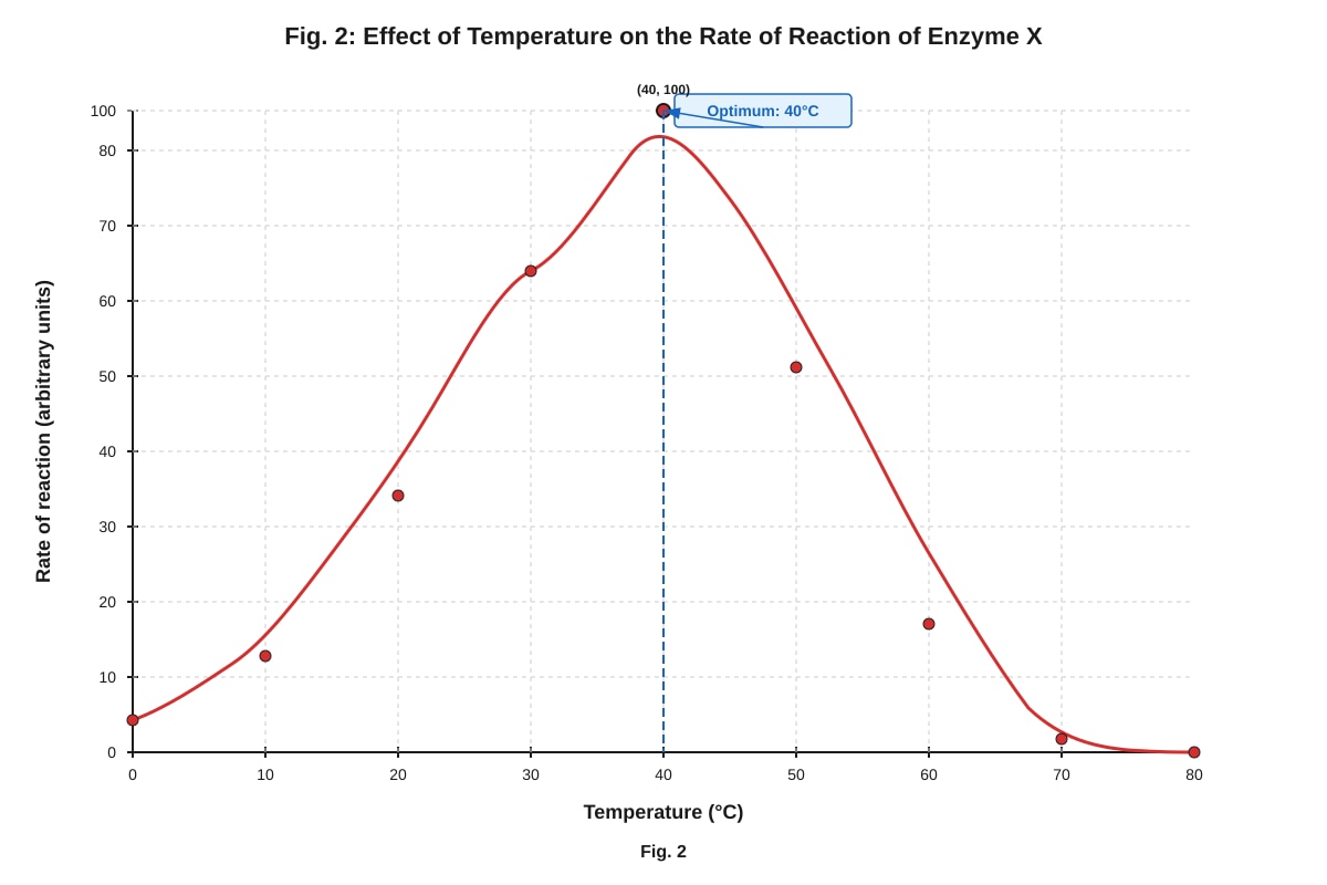 Graph for Q12 (ALEVEL Biology H1)