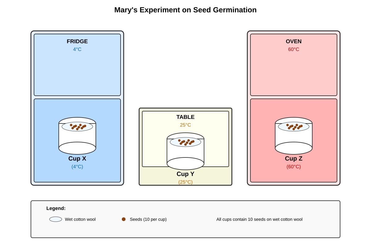 Experimental Setup for Q18 (P5 Science)