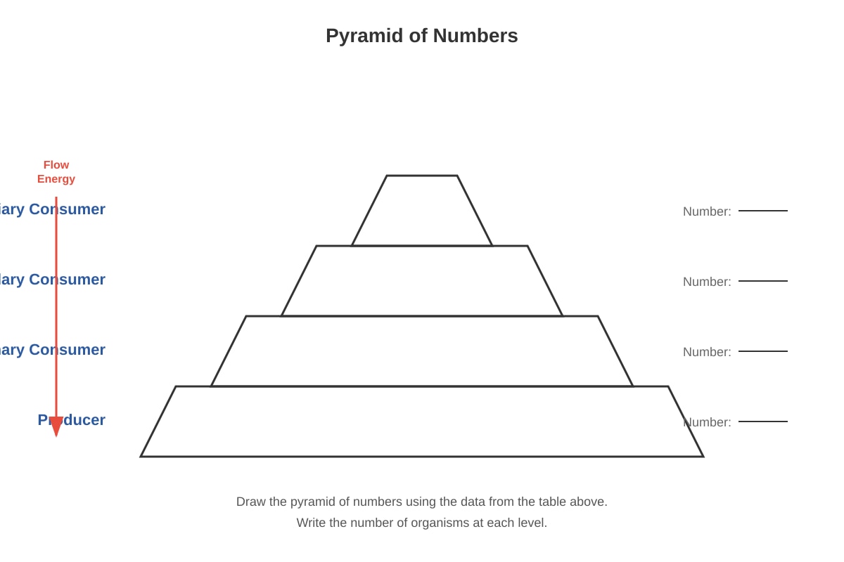 Diagram for Q38 (P6 Science)