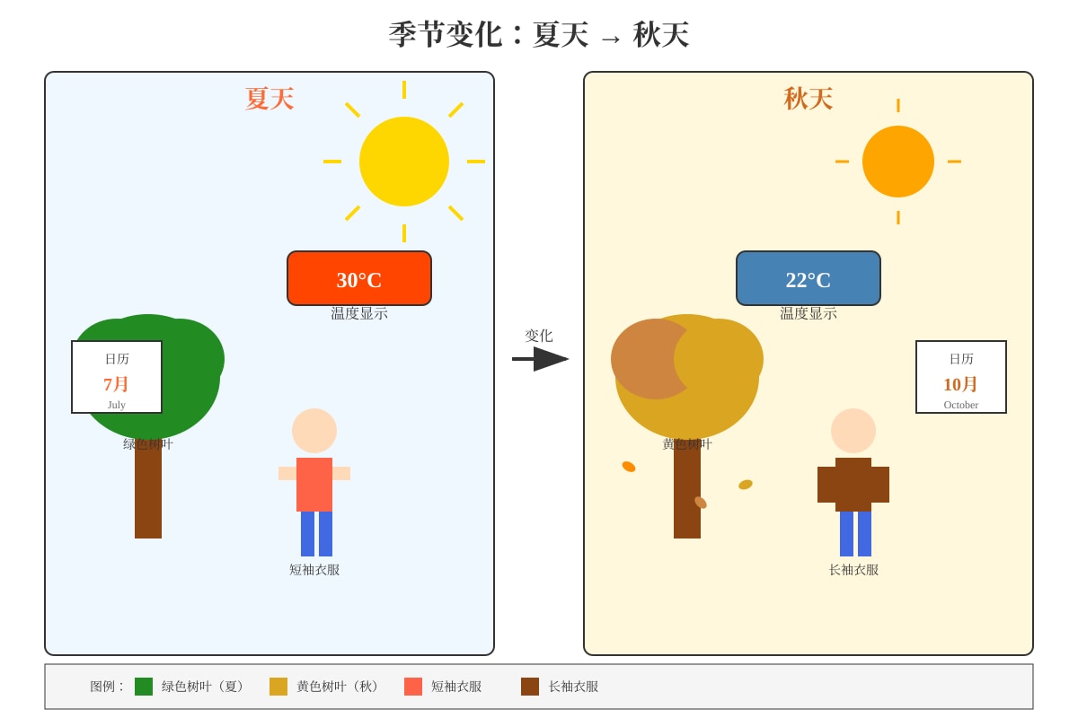 Diagram for Q20 (P4 Chinese)