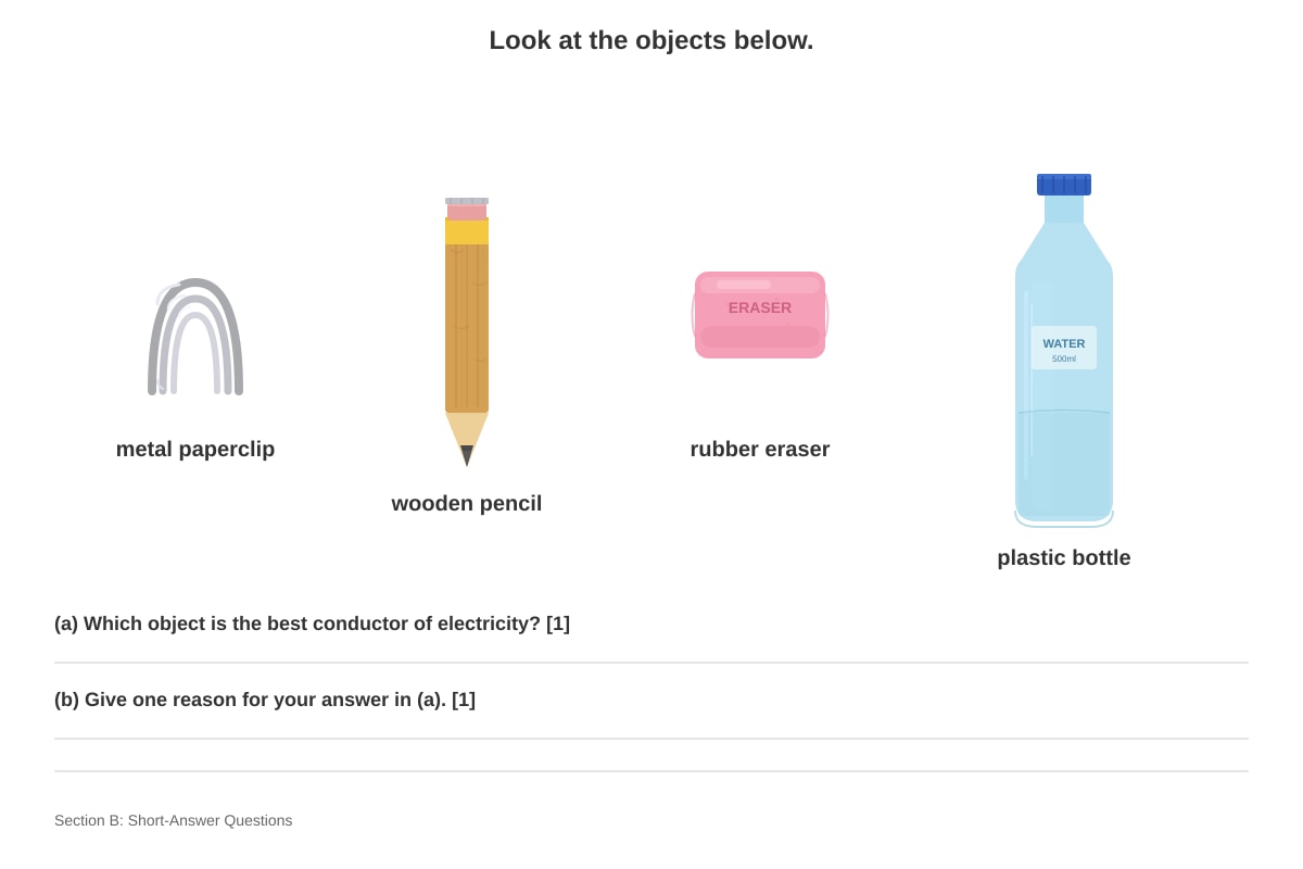 Figure for Q11 (P5 Science)