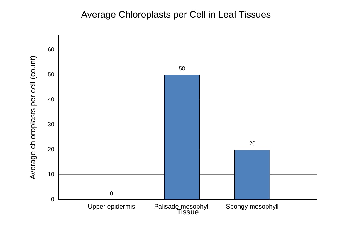 Graph for Q15 (SEC4 Combined Sci Bio)