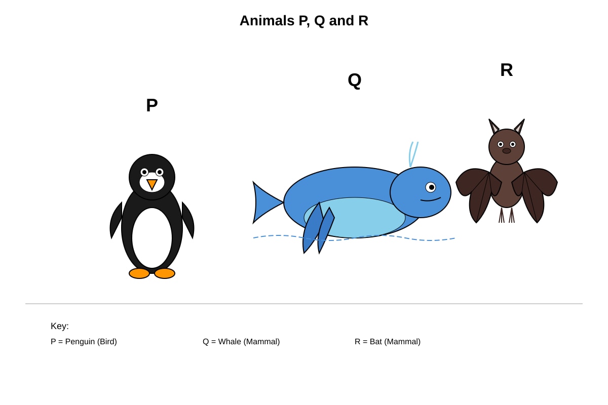 Diagram for Q3 (P4 Science)