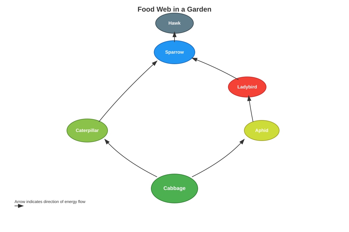 Diagram for Q18 (P6 Science)