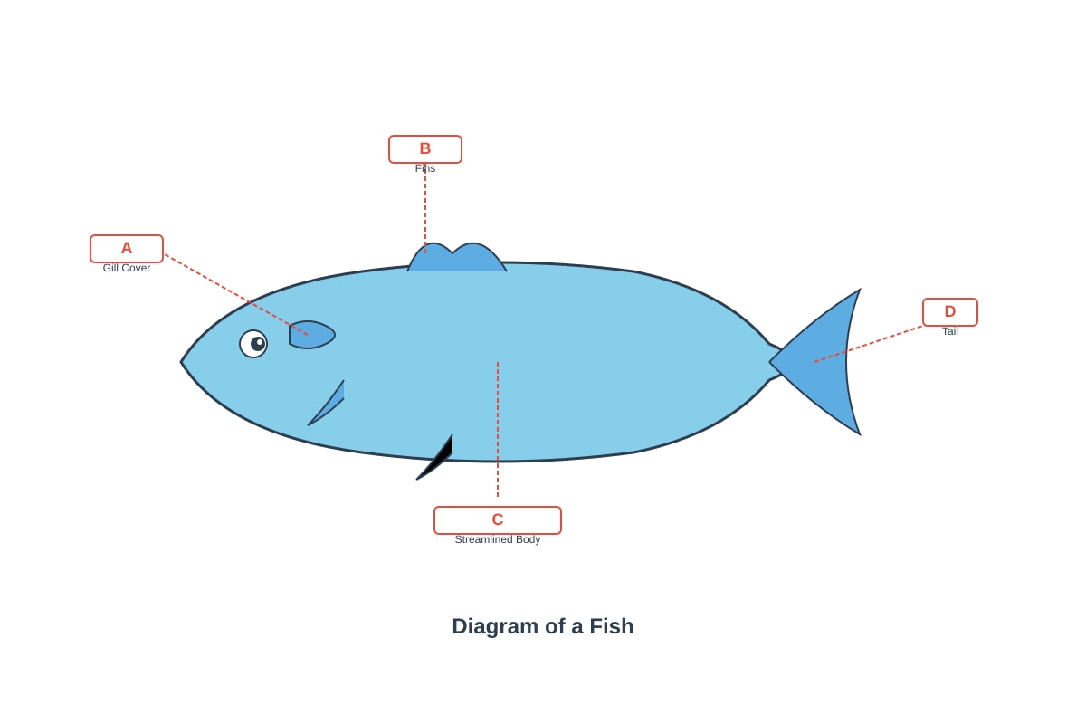 Diagram for Q9 (P5 Science)