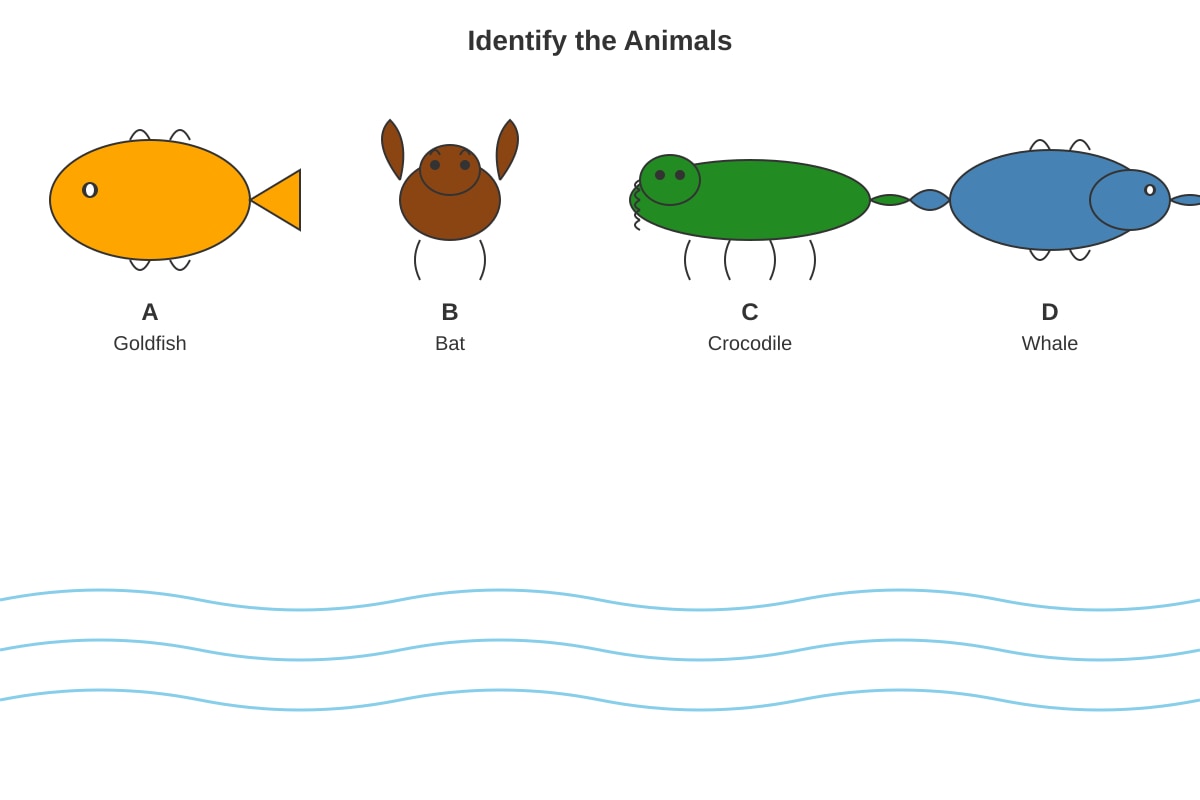 Diagram for Q4 (P4 Science)