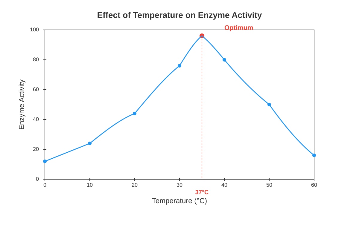 Graph for placeholder 2 (OLEVEL Biology)