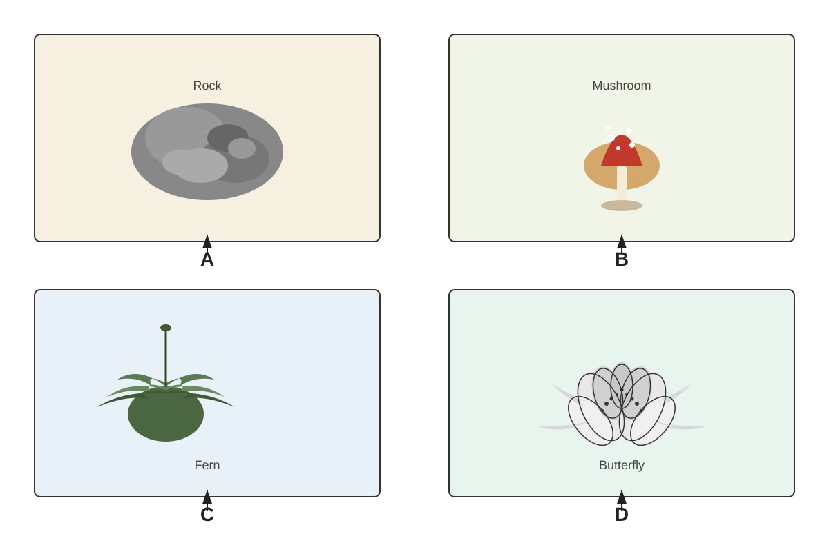 Diagram for Q1 (P4 Science)