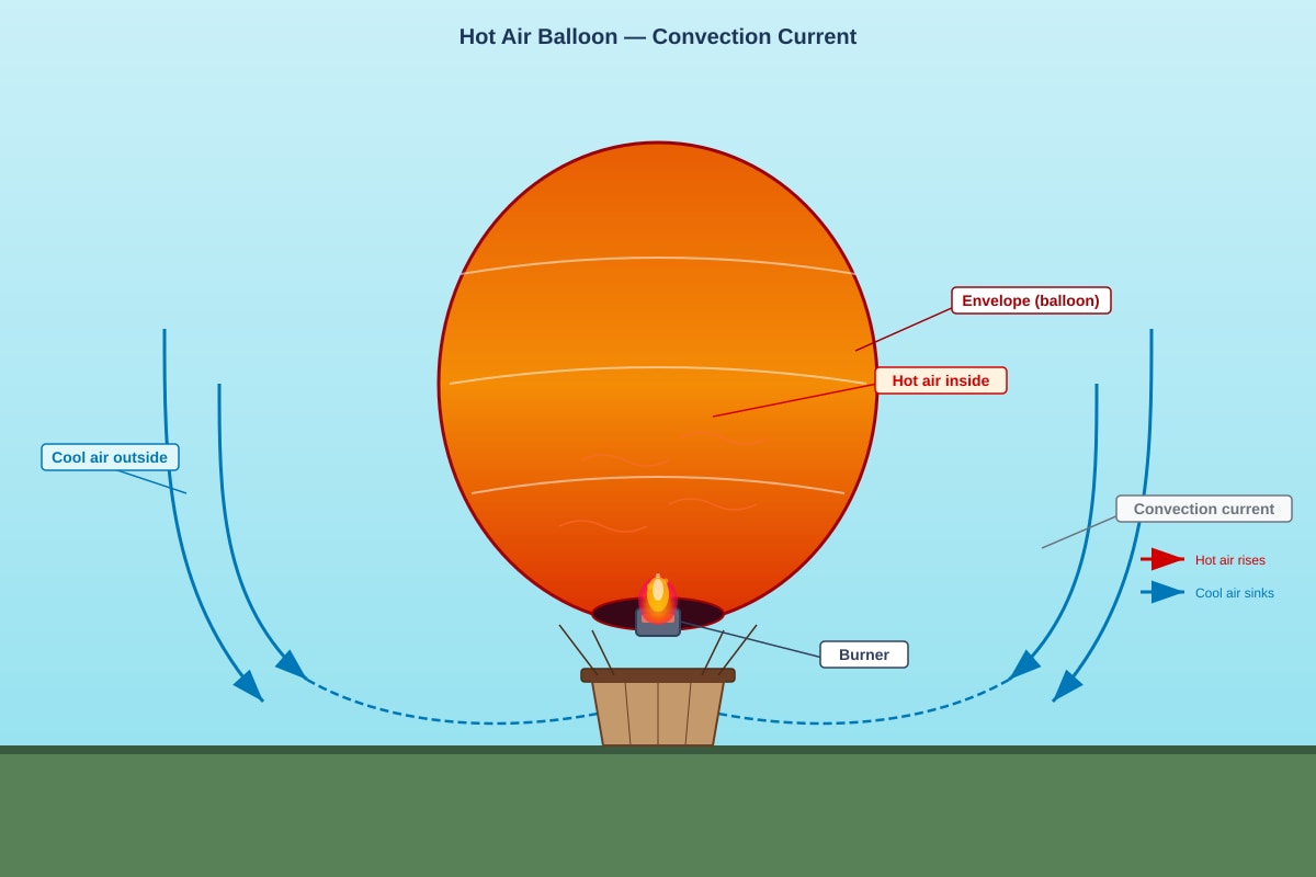 Diagram for Q17 (P5 Science)