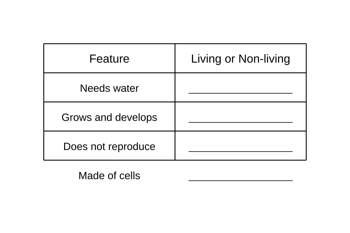Table for 19 (P4 Science)