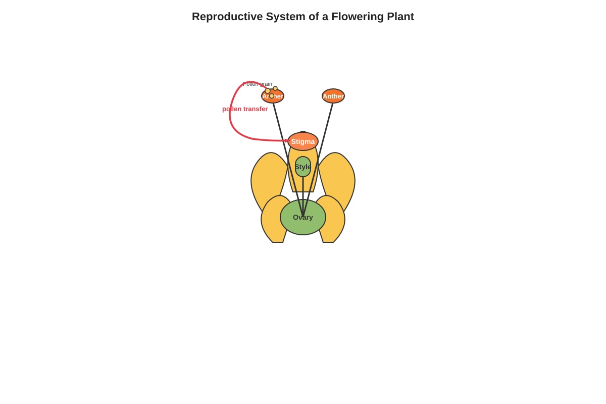 Diagram for Q2 (P5 Science)