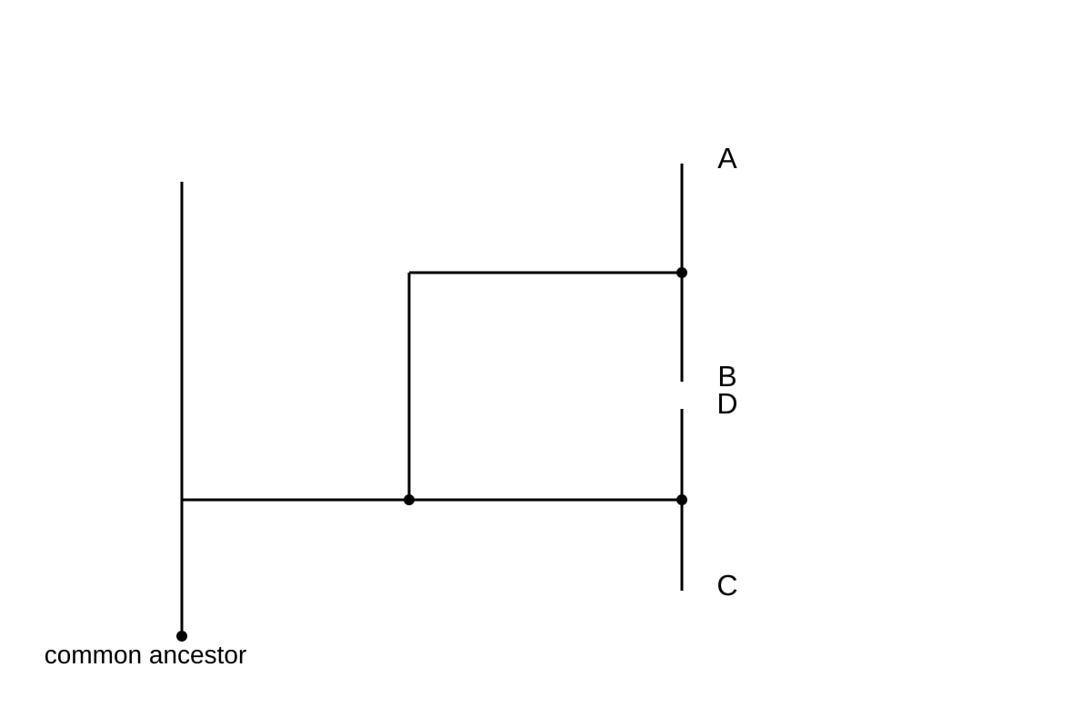 Diagram for Q5 (SEC4 Pure Biology)
