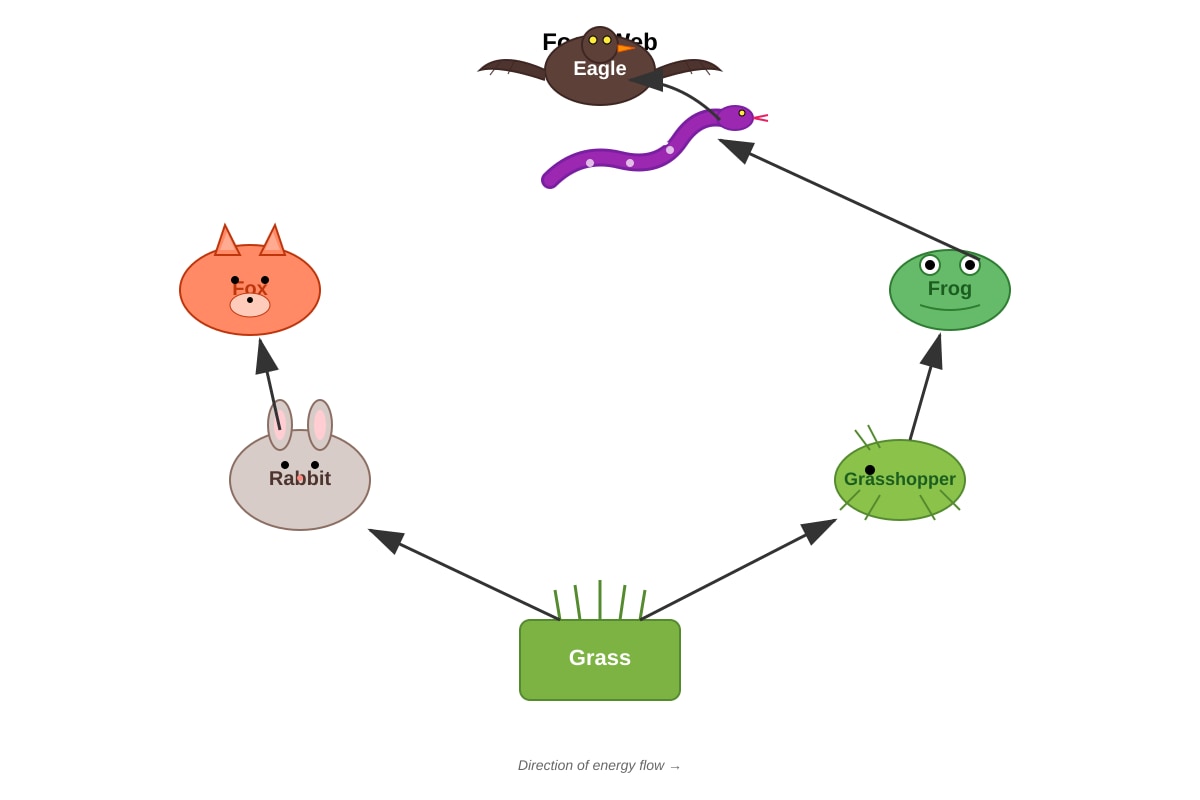 Diagram for Q9 (P5 Science)