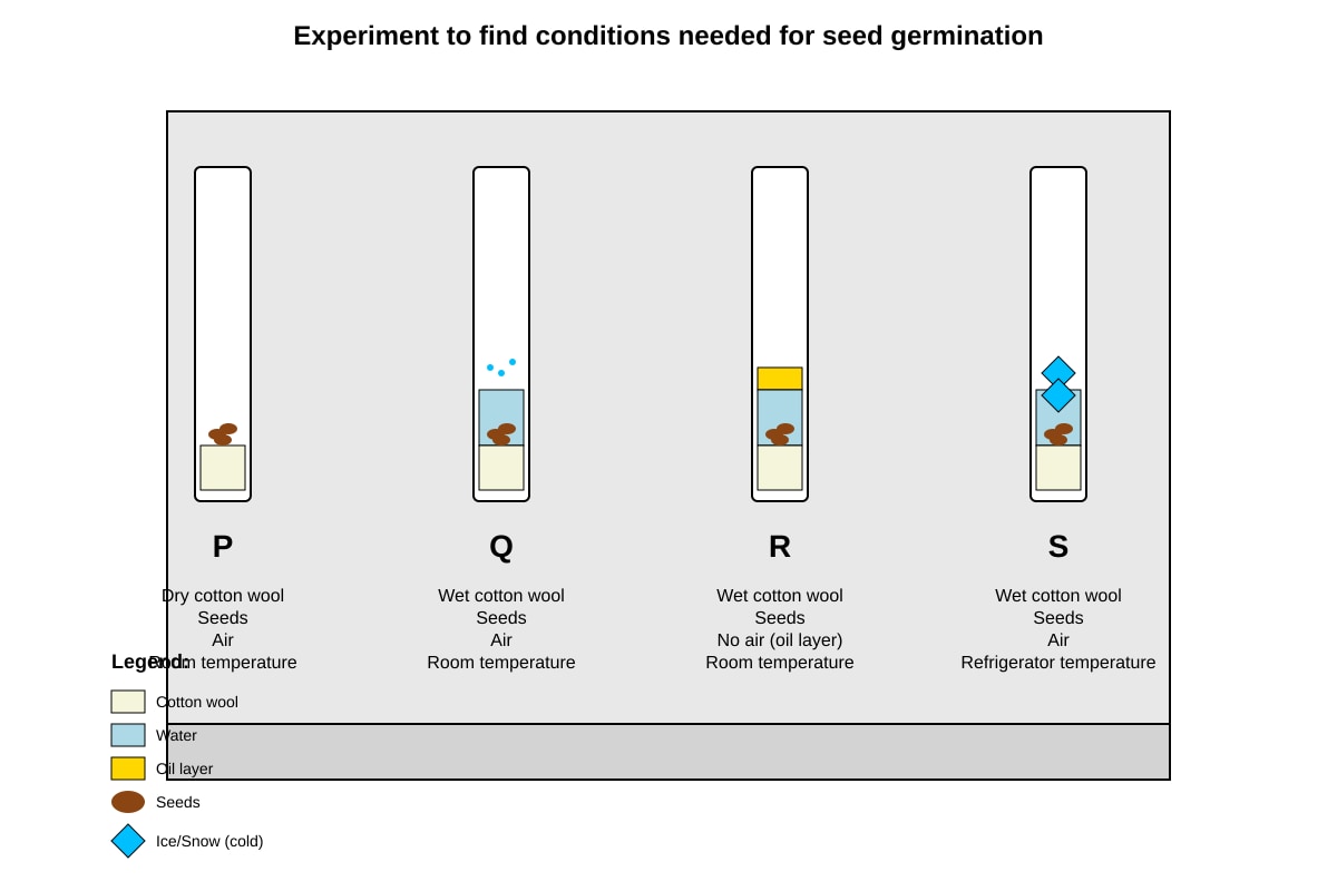 Experimental Setup for Q22 (P5 Science)