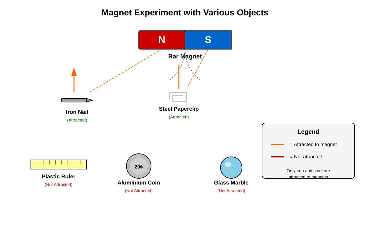 Diagram for Q20 (P3 Science)