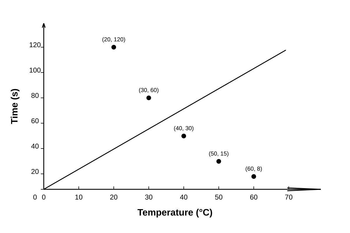 Graph for Q19 (SEC2 Science)