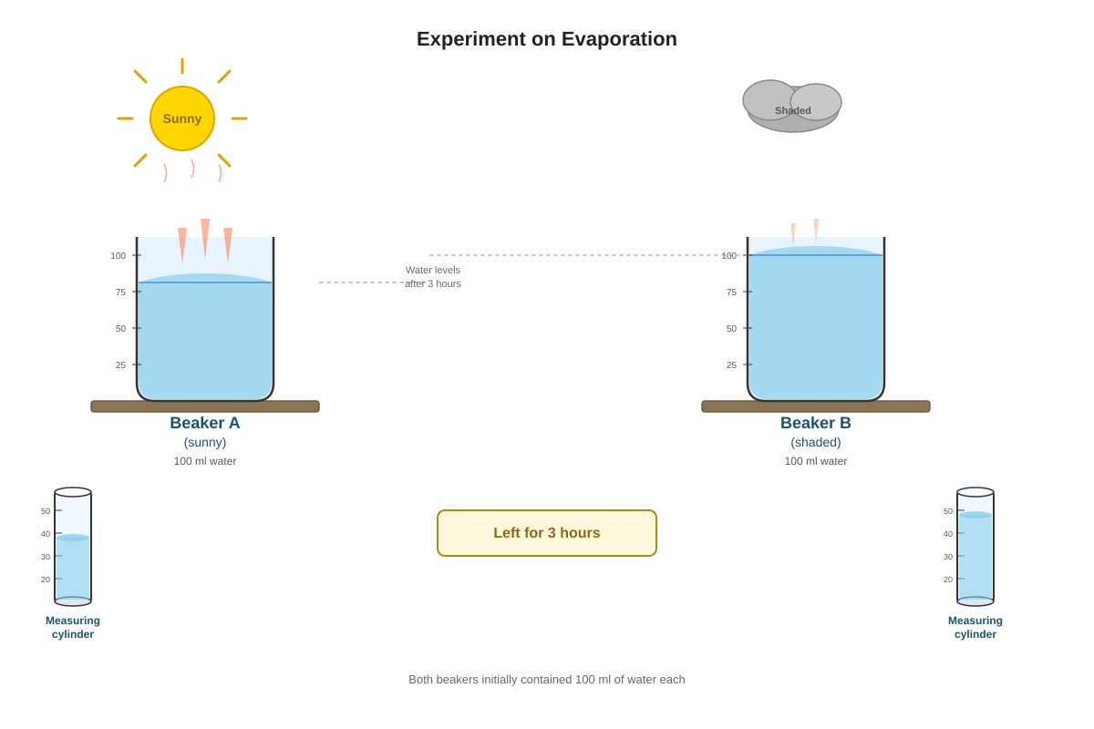 Experimental Setup for Q32 (P4 Science)