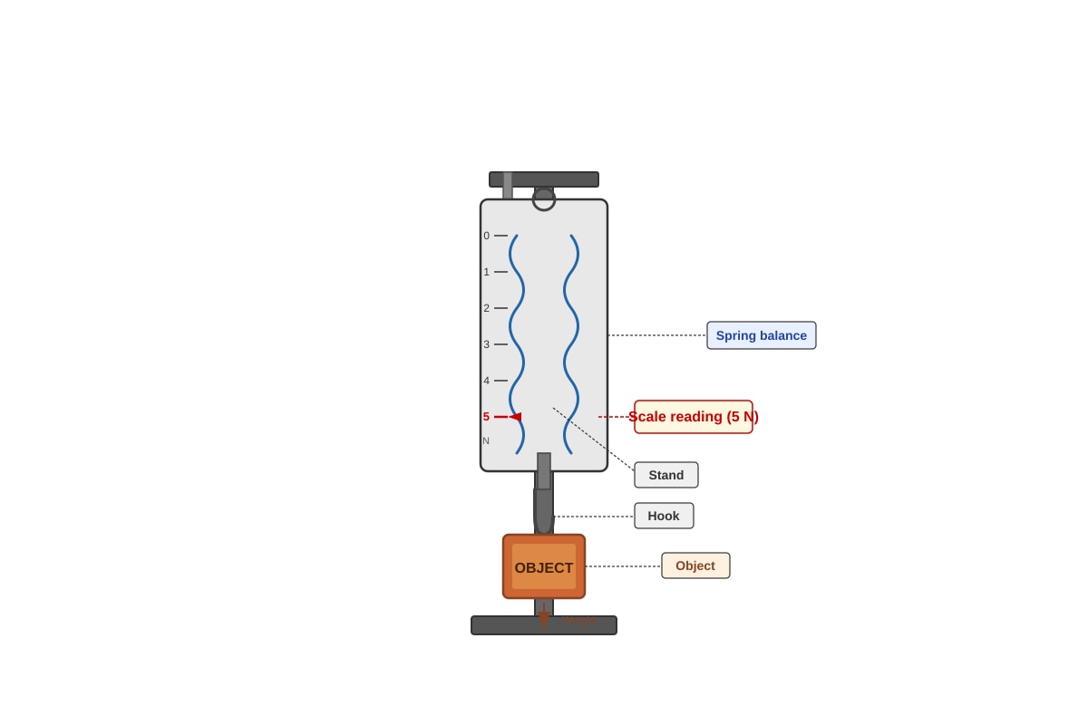 Diagram for Q26 (P5 Science)