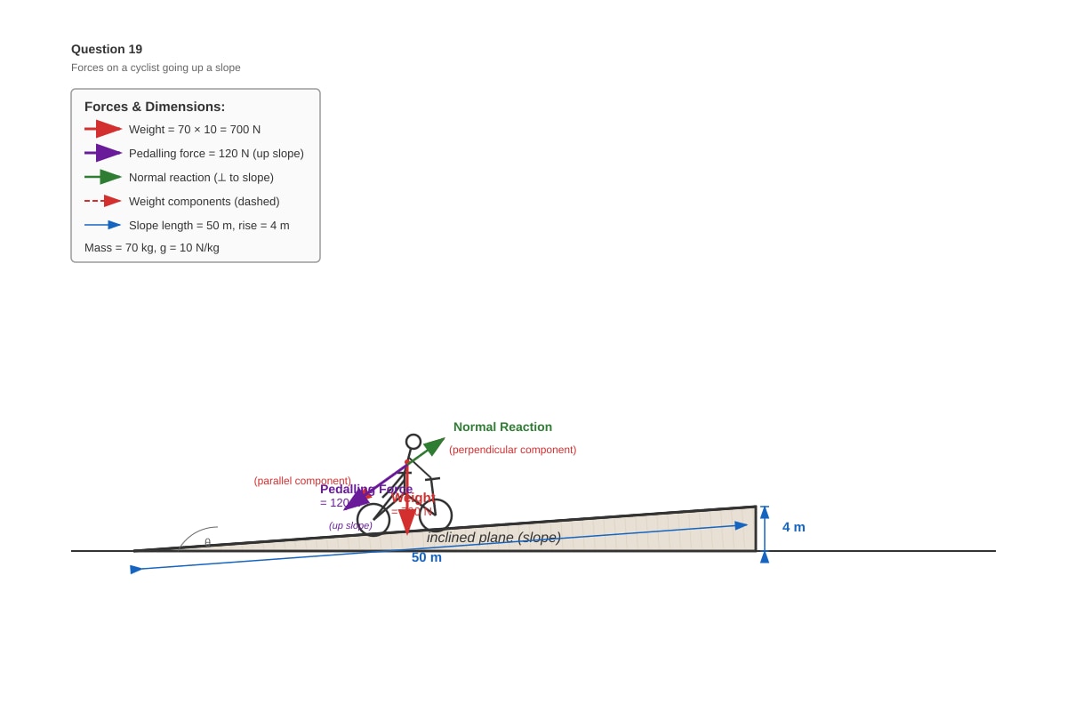 Diagram for Q19 (SEC1 Science)