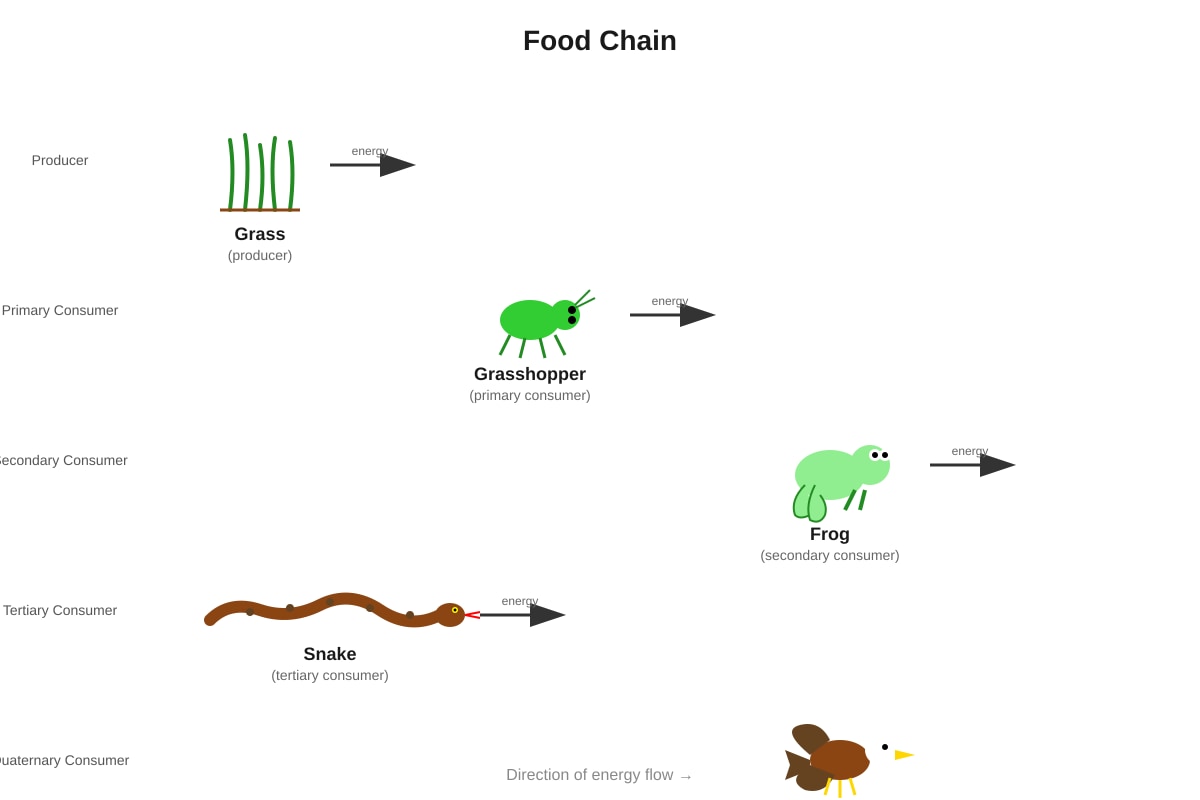 Diagram for Q12 (P5 Science)