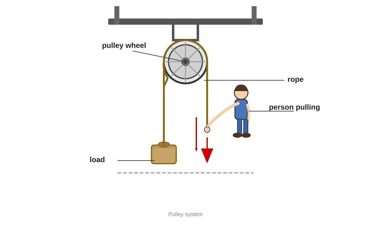 Diagram for Q20 (P3 Science)