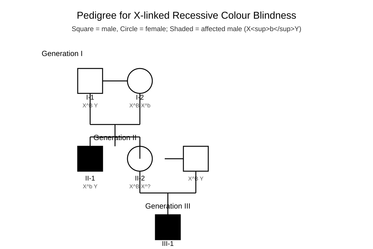 Diagram for Q19 (SEC4 Combined Sci Bio)